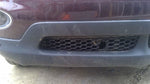 Passenger Grille Lower Bumper Mounted Fits 08-12 INFINITI EX35 463399