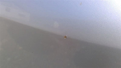 Passenger Right Front Door Fits 1620 MAXIMA 4581240