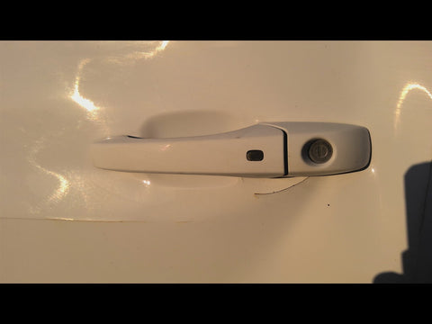 Driver Door Handle Exterior Assembly Door Front Fits 1123 DURANGO 4724420