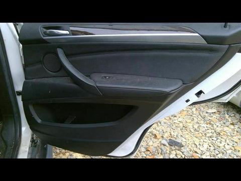 X5        2010 Door Trim Panel, Rear 315250