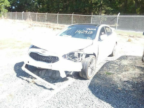 Driver Front Door Without Water Repellent Glass Fits 14-16 CADENZA 343477