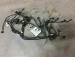 HS250H    2010 Engine Wire Harness 283587