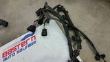 PHAETON   2005 Engine Wire Harness 259414