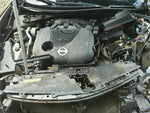 MAXIMA    2014 Engine Cover 309698