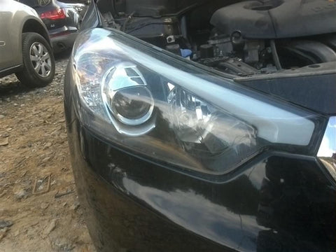 Passenger Headlight Halogen Without LED Accents Fits 14-16 FORTE 276219