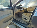 X5        2011 Door Trim Panel, Front 277299