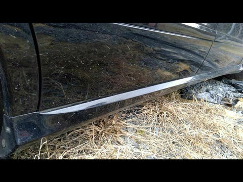 R350      2006 Rocker Panel Moulding 298023